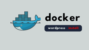 docker wordpess install